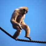 óvatosan! forrás: network.hu