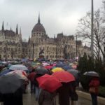 döglött ló a pedagógus tüntetésen