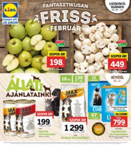 Lidk akciós újság