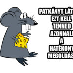 patkányírtás